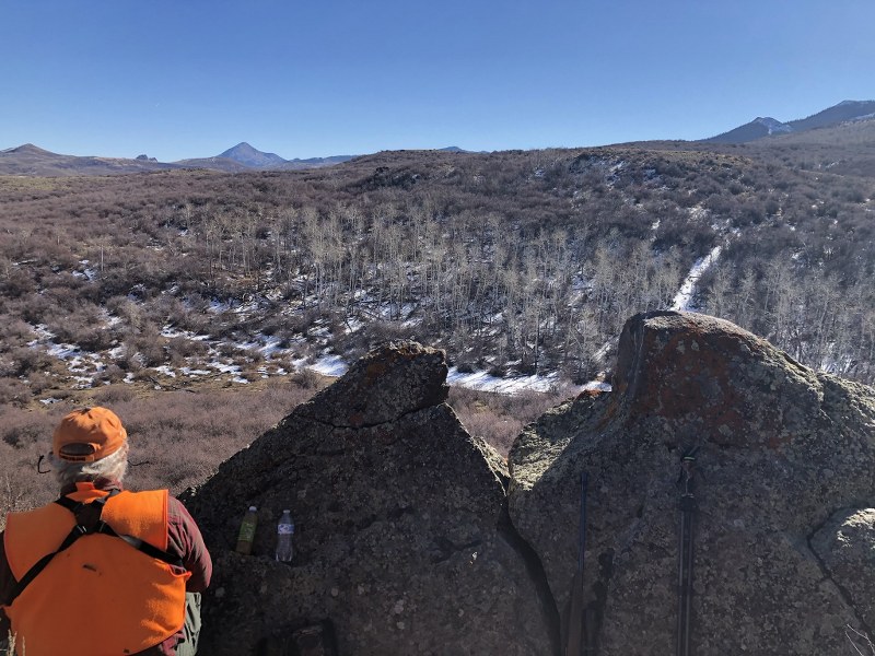 Diamond H Ranch Hunting